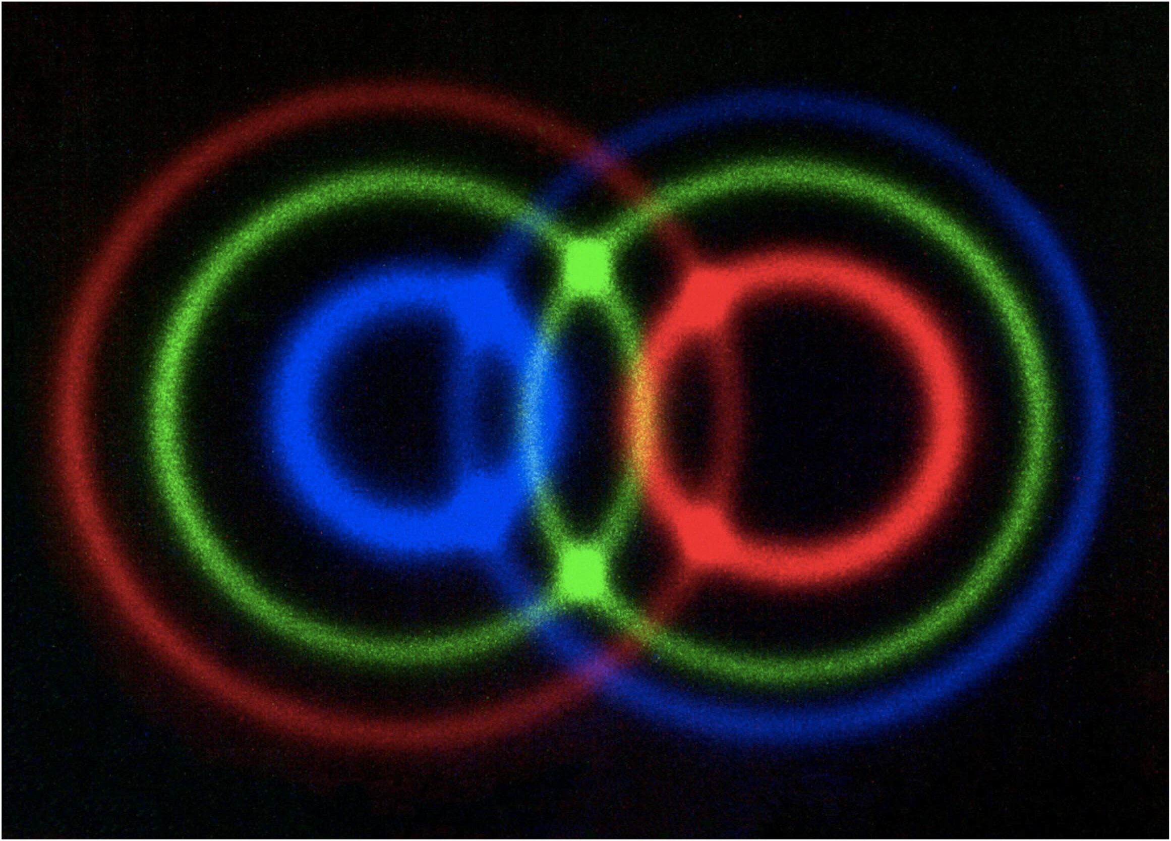 شکل 2) تصویری از فوتون‌های فروتبدیل (downconversion) که با استفاده از فیلترهای تداخلی گرفته شده است. عکس از Michael Reck and Paul Kwiat